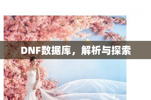 DNF数据库,解析与探索 DNF数据库,解析与探索