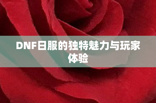 DNF日服的独特魅力与玩家体验 DNF日服的独特魅力与玩家体验