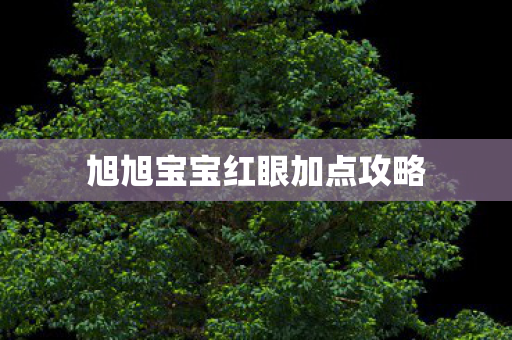旭旭宝宝红眼加点攻略 旭旭宝宝红眼加点攻略