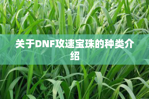 关于DNF攻速宝珠的种类介绍 关于DNF攻速宝珠的种类介绍