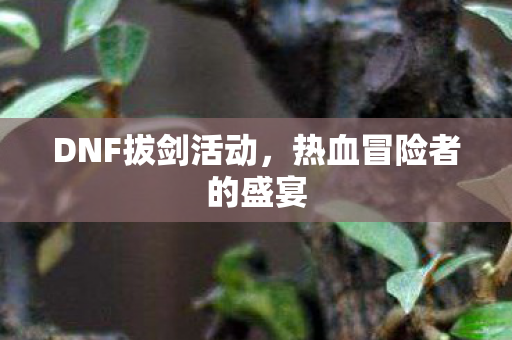 DNF拔剑活动,热血冒险者的盛宴 DNF拔剑活动,热血冒险者的盛宴