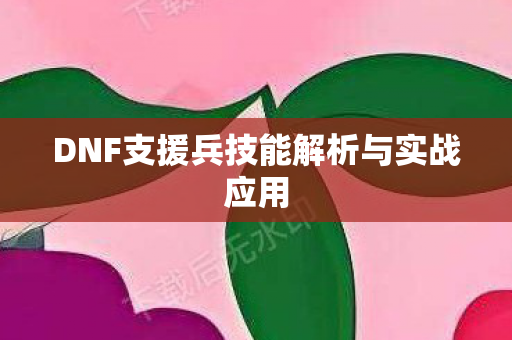 DNF支援兵技能解析与实战应用 DNF支援兵技能解析与实战应用