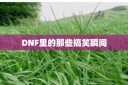 DNF里的那些搞笑瞬间 DNF里的那些搞笑瞬间