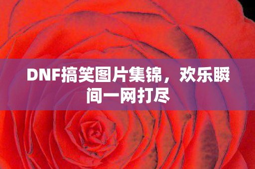 DNF搞笑图片集锦,欢乐瞬间一网打尽 DNF搞笑图片集锦,欢乐瞬间一网打尽
