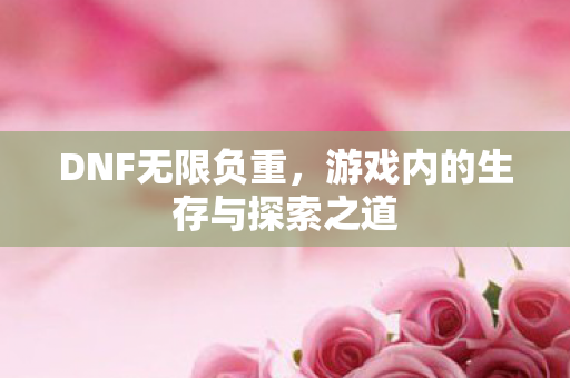 DNF无限负重,游戏内的生存与探索之道 DNF无限负重,游戏内的生存与探索之道