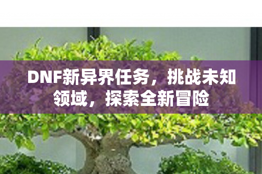 DNF新异界任务，挑战未知领域，探索全新冒险
