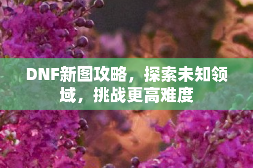 DNF新图攻略，探索未知领域，挑战更高难度