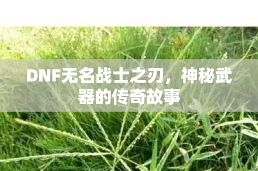 DNF无名战士之刃,神秘武器的传奇故事 DNF无名战士之刃,神秘武器的传奇故事