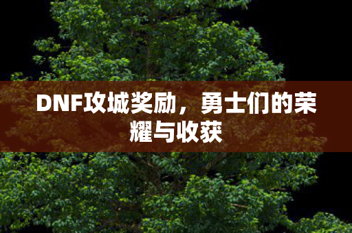 DNF攻城奖励,勇士们的荣耀与收获 DNF攻城奖励,勇士们的荣耀与收获