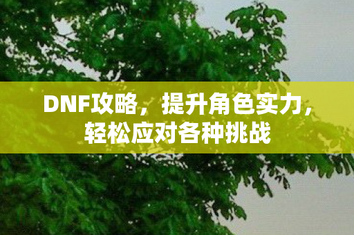 DNF攻略,提升角色实力,轻松应对各种挑战 DNF攻略,提升角色实力,轻松应对各种挑战