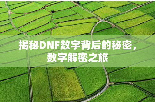 揭秘DNF数字背后的秘密,数字解密之旅 揭秘DNF数字背后的秘密,数字解密之旅
