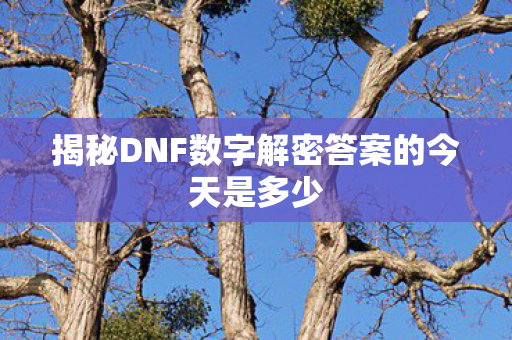 揭秘DNF数字解密答案的今天是多少 揭秘DNF数字解密答案的今天是多少