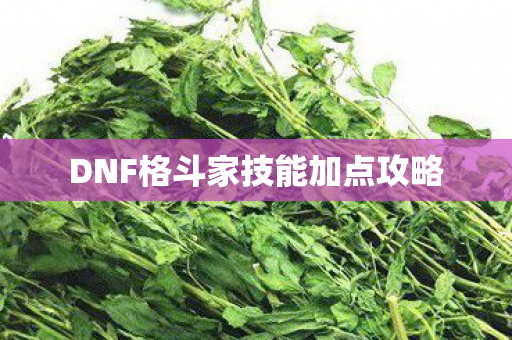 DNF格斗家技能加点攻略