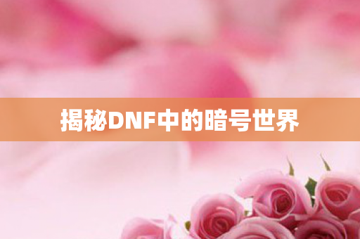 揭秘DNF中的暗号世界 揭秘DNF中的暗号世界