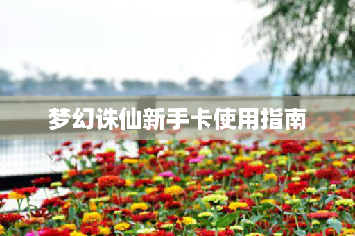 梦幻诛仙新手卡使用指南 梦幻诛仙新手卡使用指南