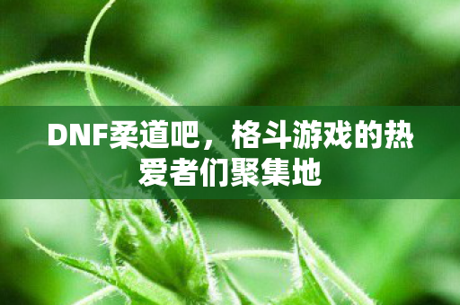 DNF柔道吧,格斗游戏的热爱者们聚集地 DNF柔道吧,格斗游戏的热爱者们聚集地