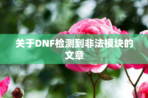 关于DNF检测到非法模块的文章 关于DNF检测到非法模块的文章