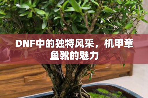 DNF中的独特风采，机甲章鱼靴的魅力