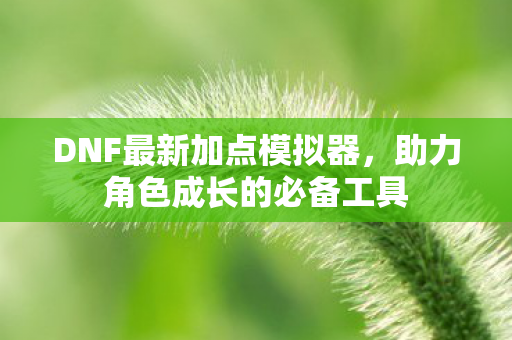 DNF最新加点模拟器,助力角色成长的必备工具 DNF最新加点模拟器,助力角色成长的必备工具