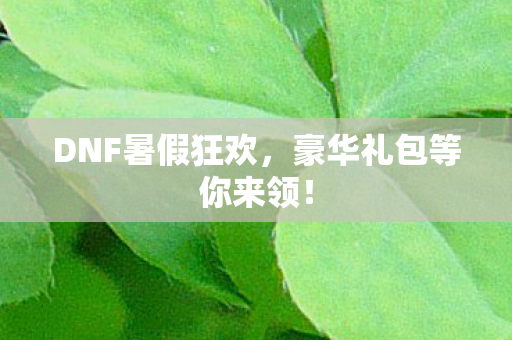 DNF暑假狂欢,豪华礼包等你来领! DNF暑假狂欢,豪华礼包等你来领!
