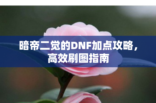 暗帝二觉的DNF加点攻略，高效刷图指南