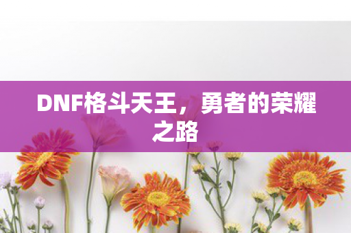 DNF格斗天王,勇者的荣耀之路 DNF格斗天王,勇者的荣耀之路