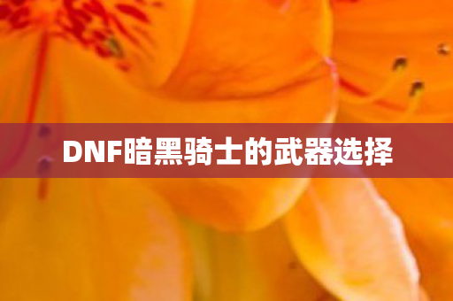 DNF暗黑骑士的武器选择 DNF暗黑骑士的武器选择