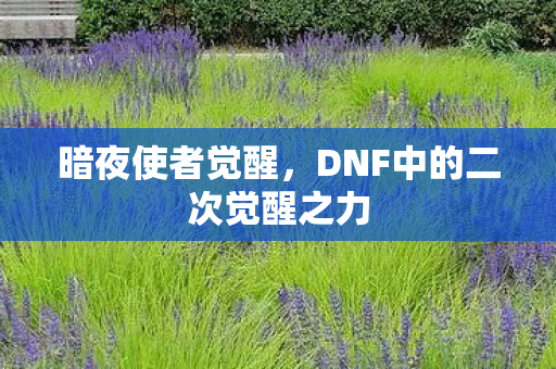 暗夜使者觉醒,DNF中的二次觉醒之力 暗夜使者觉醒,DNF中的二次觉醒之力