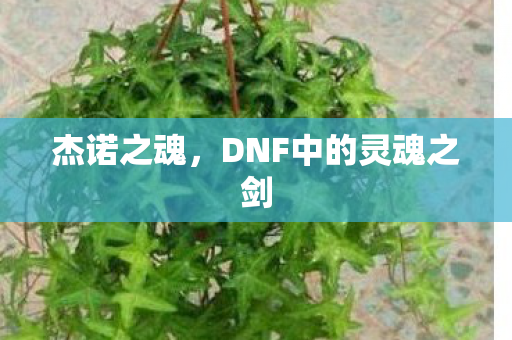 杰诺之魂,DNF中的灵魂之剑 杰诺之魂,DNF中的灵魂之剑