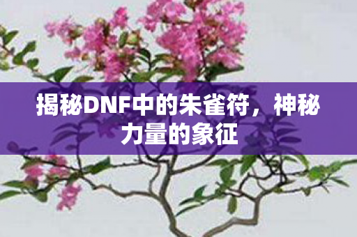 揭秘DNF中的朱雀符,神秘力量的象征 揭秘DNF中的朱雀符,神秘力量的象征