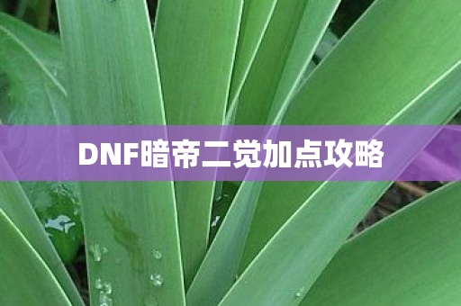 DNF暗帝二觉加点攻略