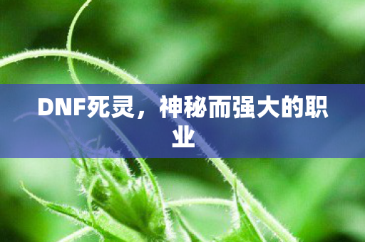 DNF死灵，神秘而强大的职业