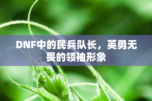 DNF中的民兵队长，英勇无畏的领袖形象