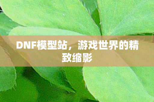 DNF模型站，游戏世界的精致缩影