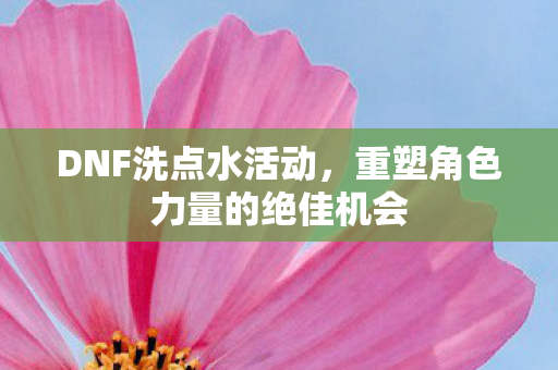 DNF洗点水活动，重塑角色力量的绝佳机会