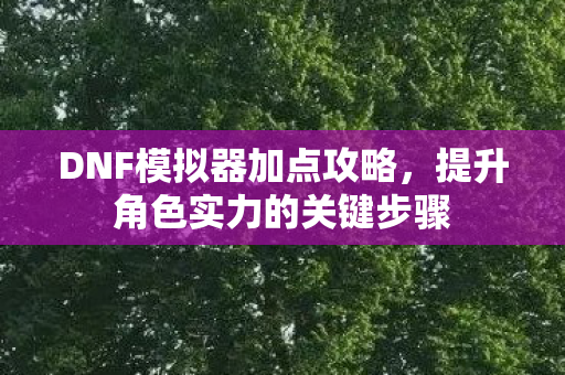 DNF模拟器加点攻略,提升角色实力的关键步骤 DNF模拟器加点攻略,提升角色实力的关键步骤