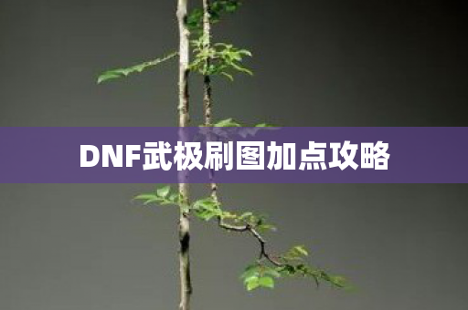 DNF武极刷图加点攻略