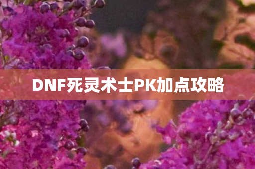 DNF死灵术士PK加点攻略 DNF死灵术士PK加点攻略