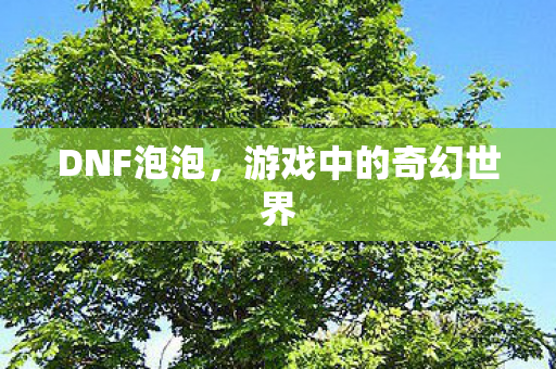 DNF泡泡,游戏中的奇幻世界 DNF泡泡,游戏中的奇幻世界