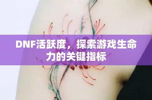 DNF活跃度,探索游戏生命力的关键指标 DNF活跃度,探索游戏生命力的关键指标
