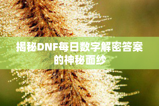 揭秘DNF每日数字解密答案的神秘面纱