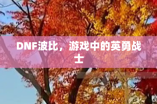 DNF波比,游戏中的英勇战士 DNF波比,游戏中的英勇战士