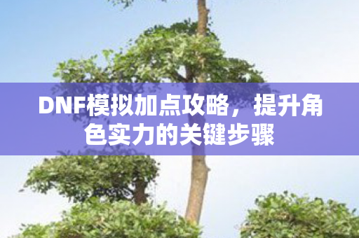 DNF模拟加点攻略,提升角色实力的关键步骤 DNF模拟加点攻略,提升角色实力的关键步骤