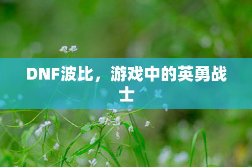 DNF波比,游戏中的英勇战士 DNF波比,游戏中的英勇战士