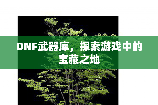 DNF武器库,探索游戏中的宝藏之地 DNF武器库,探索游戏中的宝藏之地
