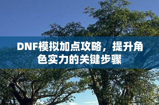 DNF模拟加点攻略，提升角色实力的关键步骤