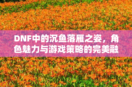 DNF中的沉鱼落雁之姿，角色魅力与游戏策略的完美融合