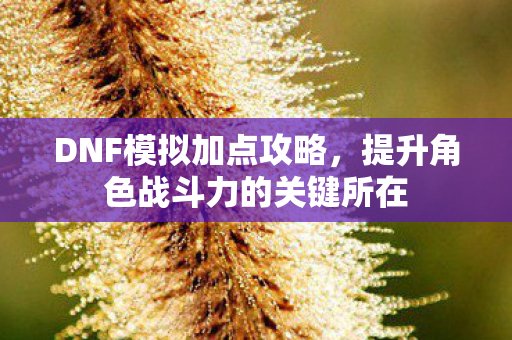 DNF模拟加点攻略，提升角色战斗力的关键所在