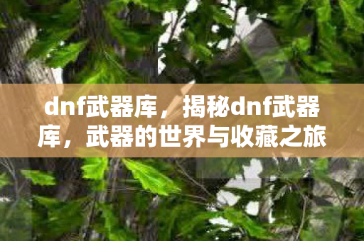 dnf武器库,揭秘dnf武器库,武器的世界与收藏之旅 dnf武器库,揭秘dnf武器库,武器的世界与收藏之旅