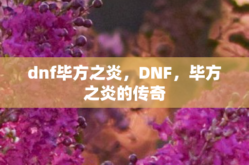 dnf毕方之炎，DNF，毕方之炎的传奇